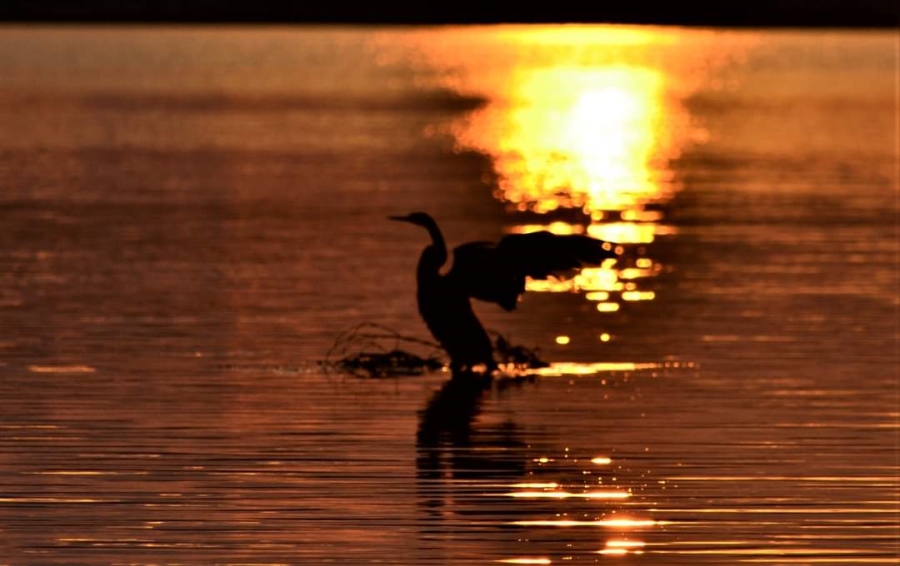 Commercial Property for Sale in Wavecrest Eastern Cape